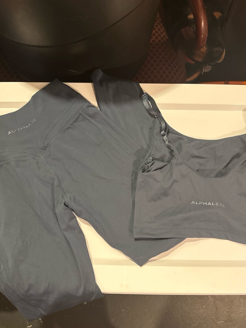 Alphalete Slate Blue Crop Top & Leggings Set